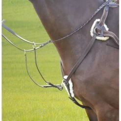 Shires Avignon Five Point Breastplate - Havana