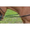 Shires Avignon Leather & Elastic Side Reins - Black -Equestrian Supplies 472702 800 800