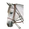 Kincade Gogue - Brown 1 Kincade Gogue - Brown -Equestrian Supplies 474515 800 800