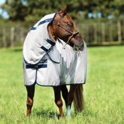 Mio Pony Fly Rug - Bronze/Navy