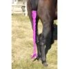 Centaur Spandex Braid-n-Tail Bag - Pink 1 Centaur Spandex Braid-n-Tail Bag - Pink -Equestrian Supplies 487188 800 800
