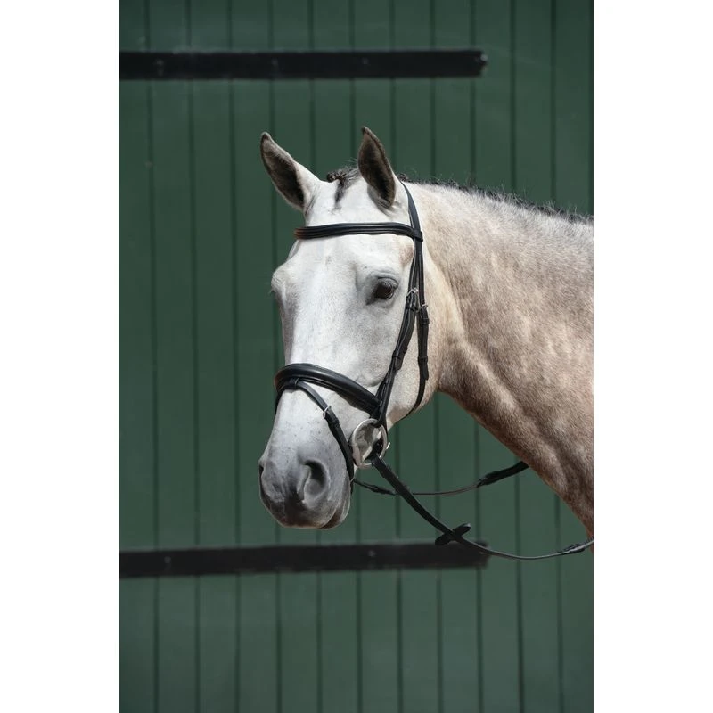 Collegiate Essential Padded Raised Flash Bridle - Black 3 Collegiate Essential Padded Raised Flash Bridle - Black