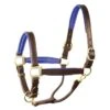 Perri's 1" Padded Leather Halter - Havana/Blue -Equestrian Supplies 500309 800 800
