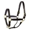 Perri's 1" Padded Leather Halter - Black/Black/Brass -Equestrian Supplies 500351 800 800