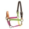 Perri's Nylon Safety Halter - Multi Neon -Equestrian Supplies 500418 800 800