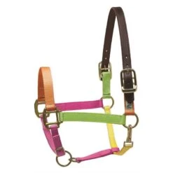 Perri's Nylon Safety Halter - Multi Neon