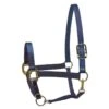 Perri's Nylon SuperHalter - Navy -Equestrian Supplies 500512 800 800
