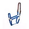 Perri's Economy Nylon Safety Halter - Royal Blue -Equestrian Supplies 502091 800 800