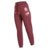 Shires Aubrion Women's Team Joggers - Burgundy -Equestrian Supplies 502353 800 800