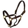 Perri's 3/4" Mini/Pony Padded Leather Halter - Havana/Brown 2 Perri's 3/4" Mini/Pony Padded Leather Halter - Havana/Brown -Equestrian Supplies 503680 800 800