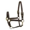 Perri's Nylon Safety Halter - Black -Equestrian Supplies 504005 800 800