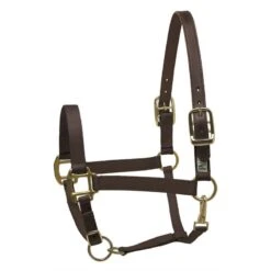 Perri's Nylon Safety Halter - Black