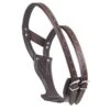 Camelot Wonder Cribbing Collar - Brown -Equestrian Supplies 504320 800 800