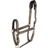 Catago Elegant Halter - Brownie -Equestrian Supplies 505777 800 800