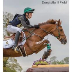 Tredstep Donatello III Field Boot - Black 15 Tredstep Donatello III Field Boot - Black -Equestrian Supplies 524639 800 800