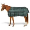 Pessoa Alpine1200D Turnout 180g W/Belly Cover - Basil Green/Black Plaid 2 Pessoa Alpine1200D Turnout 180g W/Belly Cover - Basil Green/Black Plaid -Equestrian Supplies 531567 800 800