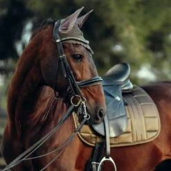 B Vertigo Drew Ear Net - Cub Brown 7 B Vertigo Drew Ear Net - Cub Brown -Equestrian Supplies 545025 800 800