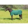 Kensington SureFit Poly Cotton Stable Sheet - Hunter 2 Kensington SureFit Poly Cotton Stable Sheet - Hunter -Equestrian Supplies 545497 800 800