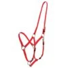 Zilco Deluxe Endurance Bridle/Halter Cavesson Only - Red -Equestrian Supplies 545685 800 800