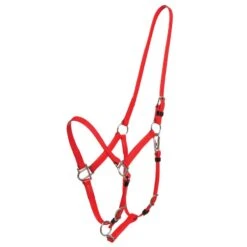 Zilco Deluxe Endurance Bridle/Halter Cavesson Only - Red