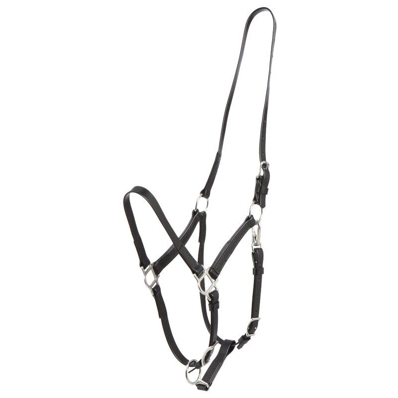 Zilco Deluxe Endurance Bridle/Halter Cavesson Only - Black 3 Zilco Deluxe Endurance Bridle/Halter Cavesson Only - Black