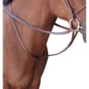 Passport Square Raised Standing Martingale - Mahogany -Equestrian Supplies 546030 800 800