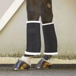 Toklat Standing Bandages - Black