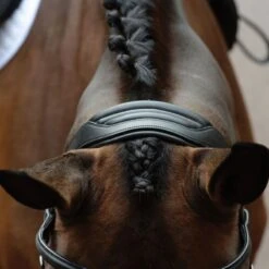 Collegiate Comfitec Vogue Anatomical Bridle - Brown 8 Collegiate Comfitec Vogue Anatomical Bridle - Brown -Equestrian Supplies 553343 800 800