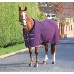 Shires Original Team Rug - Navy