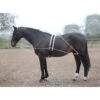 Shires Lunging Aid - Black -Equestrian Supplies 553776 800 800