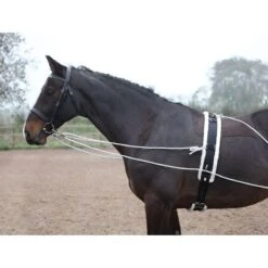 Shires Lunging Aid - Black -Equestrian Supplies 553778 800 800