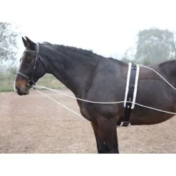 Shires Lunging Aid - Black -Equestrian Supplies 553780 800 800