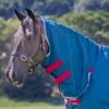 Shires Tempest Original Lite Neck Cover - Teal 1 Shires Tempest Original Lite Neck Cover - Teal -Equestrian Supplies 554417 800 800