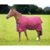 Shires Highlander Mini Turnout - Maroon -Equestrian Supplies 554473 800 800