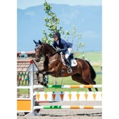 Kerrits Women's Stretch Competitor Koat 4 Snap - Navy -Equestrian Supplies 567401 800 800