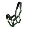 Back On Track Werano Halter - Green 2 Back On Track Werano Halter - Green -Equestrian Supplies 588765 800 800