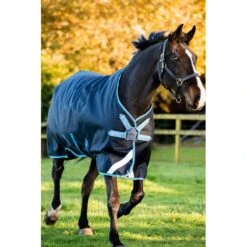 Amigo Bravo 12 Plus Disc Closure Turnout Bundle - Navy/Turquoise/Aqua/Blue -Equestrian Supplies 591477 800 800