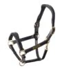 Shires Velociti Rapida Cushioned Leather Headcollar - Black -Equestrian Supplies 620181 800 800