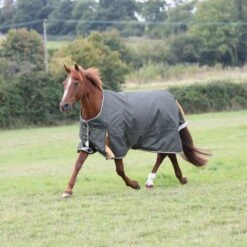 Shires Highlander Plus Lite Standard Neck Turnout - Green