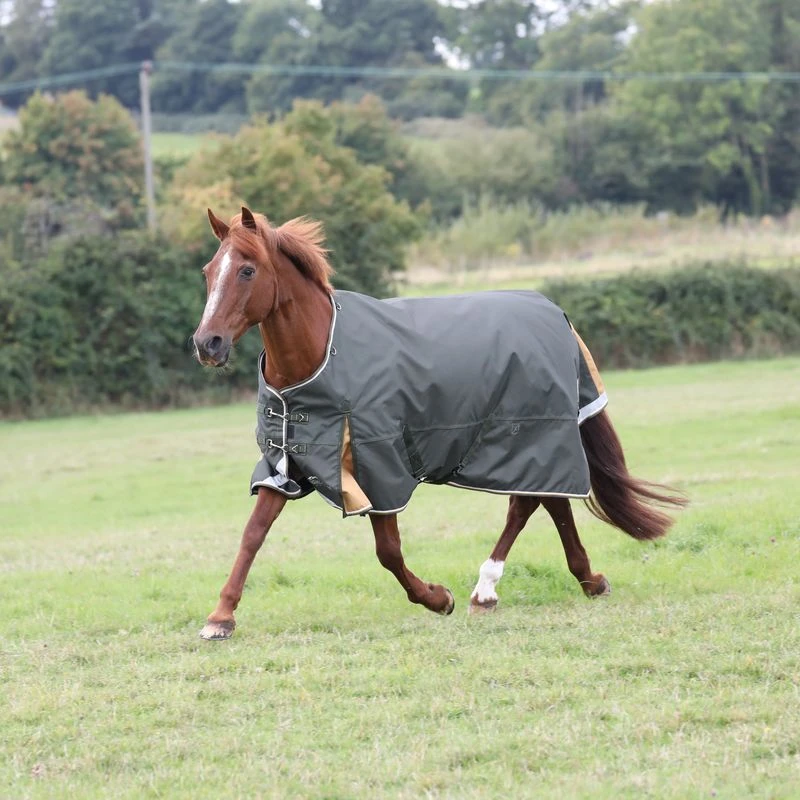 Shires Highlander Plus Lite Standard Neck Turnout - Green 3 Shires Highlander Plus Lite Standard Neck Turnout - Green
