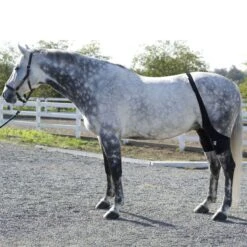 Ice Horse Stifle Wrap - Black 8 Ice Horse Stifle Wrap - Black -Equestrian Supplies 632119 800 800