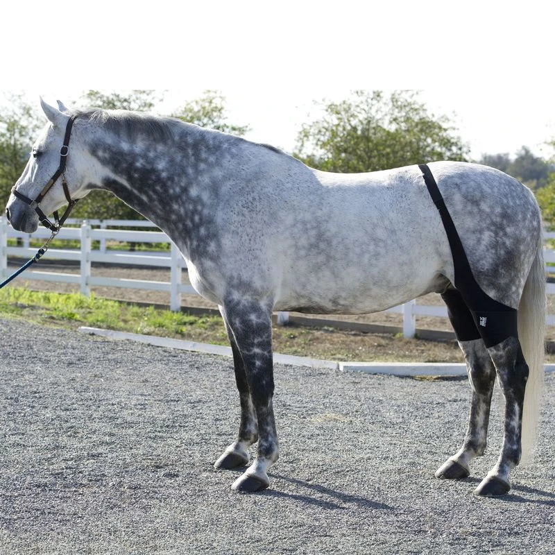 Ice Horse Stifle Wrap - Black 5 Ice Horse Stifle Wrap - Black - Image 3