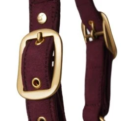 Horze Kenya Anatomical Halter - Rhubarb Dark Red 9 Horze Kenya Anatomical Halter - Rhubarb Dark Red -Equestrian Supplies 660121 800 800