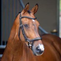 Shires Velociti Lusso Ergonomic Curved Flash Bridle - Black