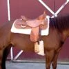 WoolBack Cinch Cover - Natural -Equestrian Supplies 675043 800 800