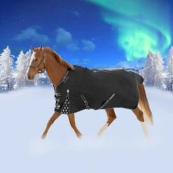 Equinavia Norse Light Weight Turnout Blanket 100g - Black -Equestrian Supplies 678186 800 800