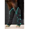 Amigo Travel Boots - Black/Teal/Dark Cherry -Equestrian Supplies 680543 800 800