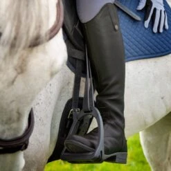 Shires Moretta Women's Gianna Leather Field Boots - Black -Equestrian Supplies 685195 800 800