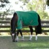 Weatherbeeta Comfitec Prelim Standard Neck Medium - Dark Green/Red/White 1 Weatherbeeta Comfitec Prelim Standard Neck Medium - Dark Green/Red/White -Equestrian Supplies 685655 800 800