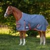 Weatherbeeta Comfitec Essential Plus Standard Neck Lite - Grey/Orange/Blue -Equestrian Supplies 686196 800 800